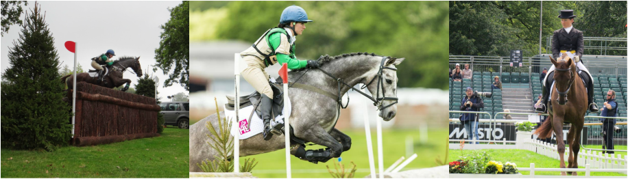 What Amateur riding tube can Amateur riding tube opinion
